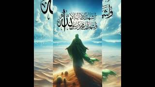 yea Abbas history#yea Hussein karbala