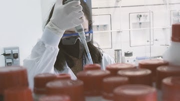 PhD Candidate: María Navarro