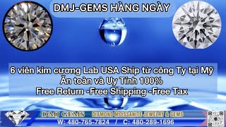 DMJ-GEMS HÀNG NGÀY kim cương Lab của Mỹ và ship từ công ty lớn tại Mỹ Sep-13-2023 Web
