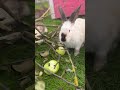 Ставлю первую ответственность сыну, ну и размышляю о жизни и смерти в комментариях👇