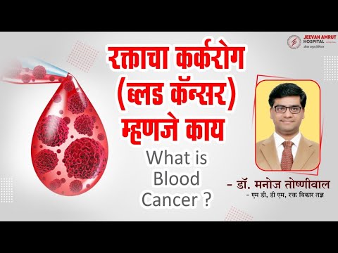 रक्ताचा कर्करोग ( ब्लड कॅन्सर ) म्हणजे काय - डॉ मनोज तोष्णीवाल. What is Blood Cancer ?
