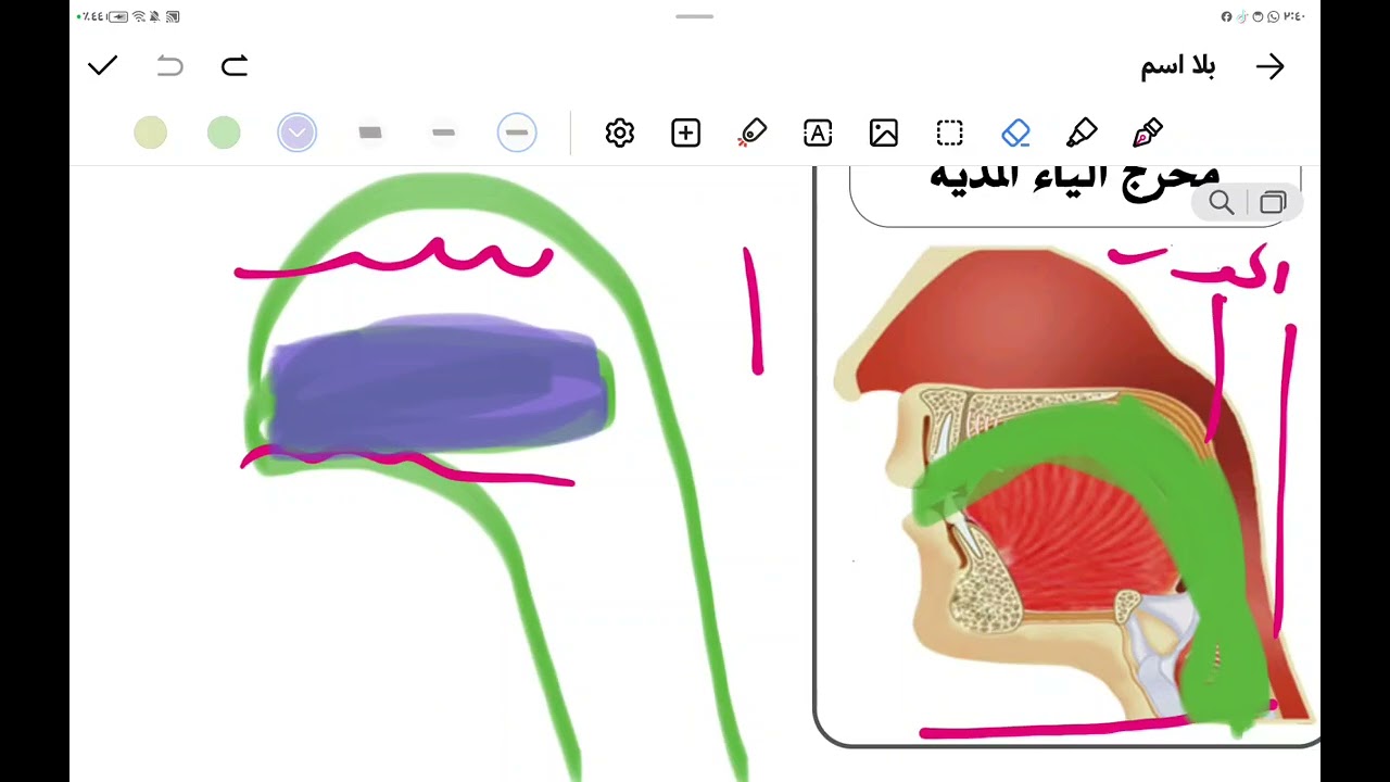 1.مخرج. الجوف 