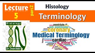 5b-Terminology2-التصغير فى اللاتينية- الفرقه الاولى