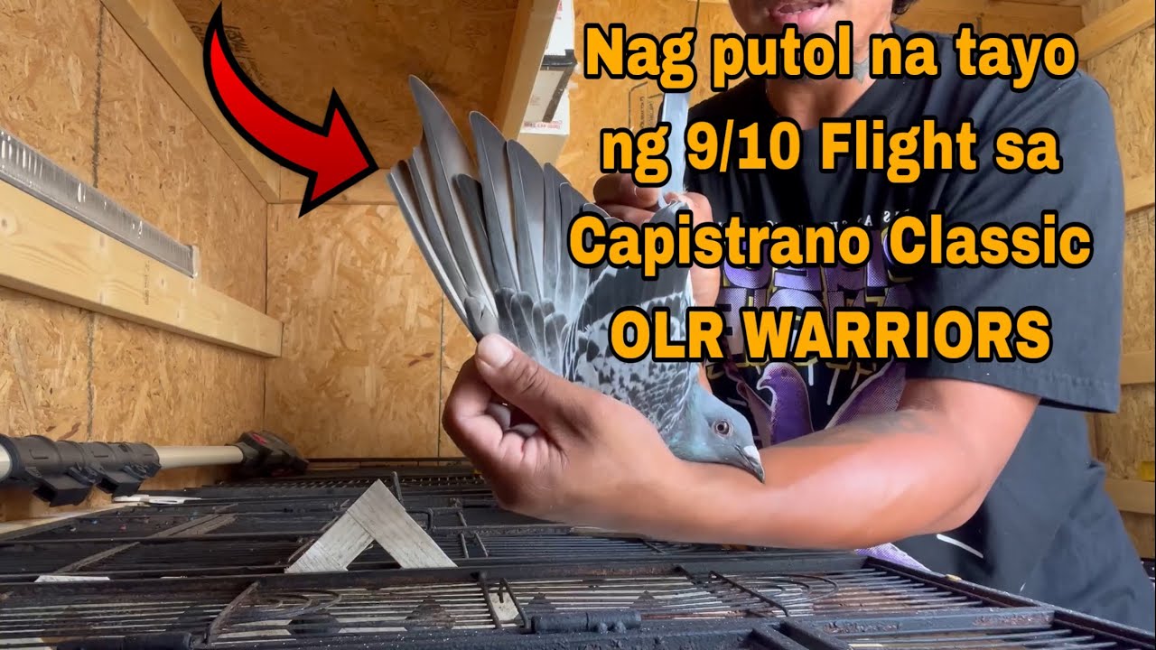 Nag Putol na tayo ng 9/10 Flight Sa Capistrano Classic OLR 2025 Warriors