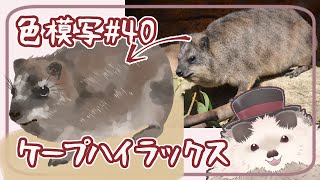 【一緒に朝活】色模写の火曜日＃４０【ゆる～くお絵描き】