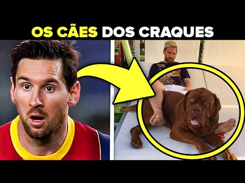 Vídeo: Jogadores de futebol amam seus cães
