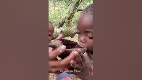 Unik nya bayi suku hadzabe menyusui #hadzabetribe #africa #feedshorts