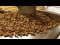 Hayssen ultima vffs packaging inshell peanuts at 42ppm