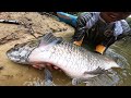 O VERDADEIRO MONSTRO DO RIO! Pescaria de TRAIRÃO e acampamento na Amazônia.