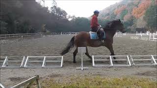 ２０２１１２１０1勝1負クイック
