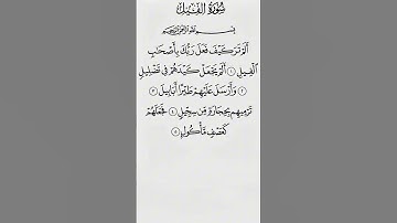 سورة الفيل #القرآن_الكريم#quran