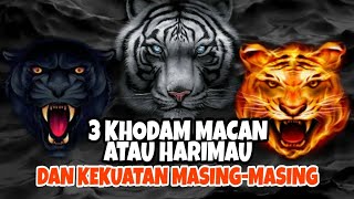 3 KHODAM MACAN ATAU HARIMAU DENGAN KEKUATAN MASING-MASING