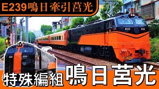 特殊編組記錄丨鳴日號E239機車牽引莒光號摺疊門