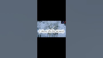 #القرآن_الكريم ﴿ القارئ الشيخ محمد اللحيدان﴾❣️❤️📍📽️ #اكسبلور