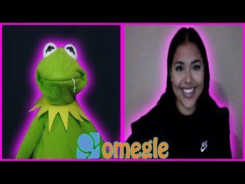 Kermit's a sussy baka on Omegle