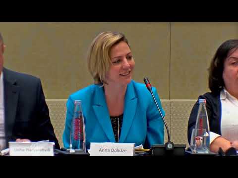 დისკუსია ადამიანის უფლებათა სისტემური დარღვევების შესახებ (2017წ)