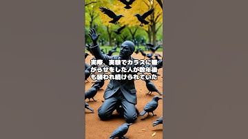 カラスに嫌われたら最後‥数年後も襲撃‼︎