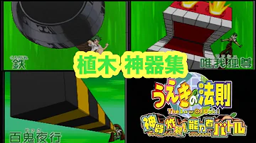うえきの法則