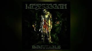 Meshuggah - They Move Below (Slow & Low)