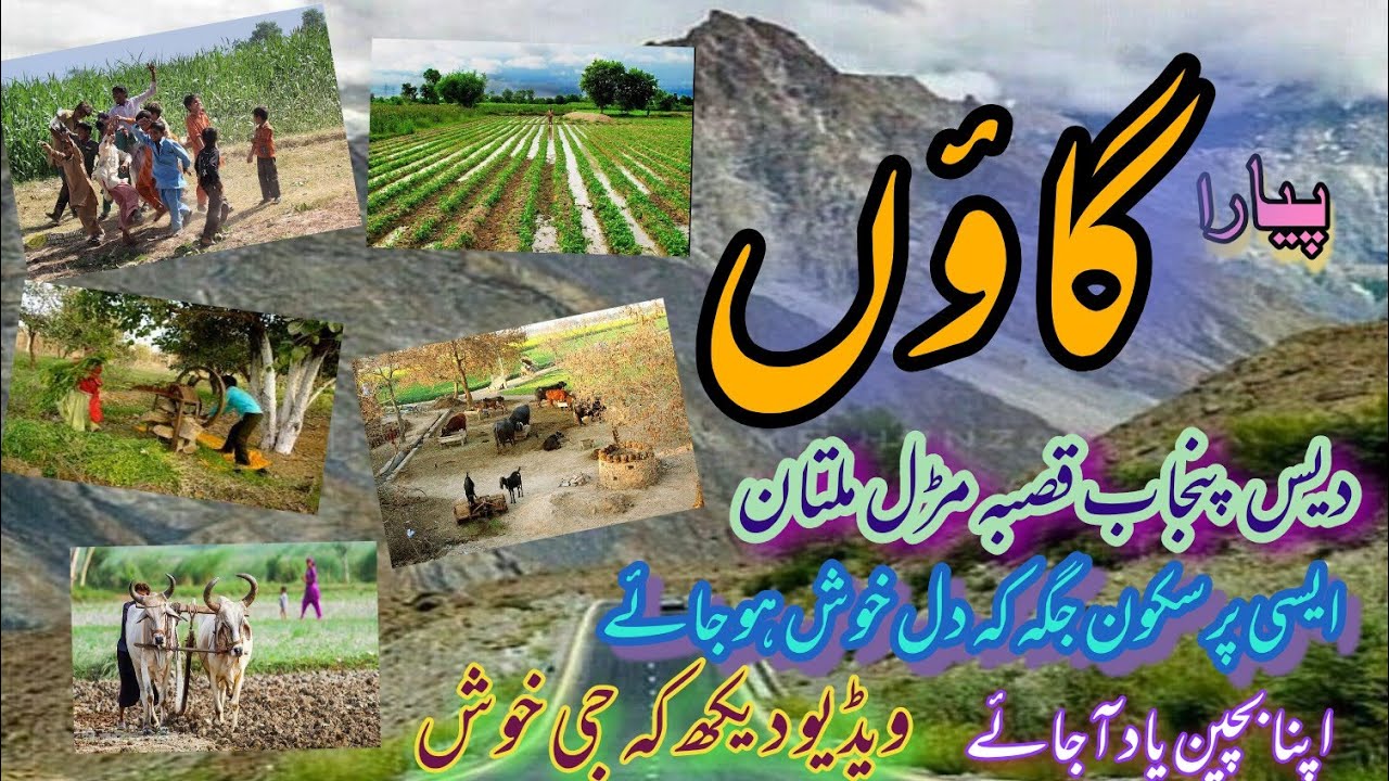 Village Qasba Maral Multan 1080p | daily routine & work and fields childs games | بچوں کے کھیل تماشے