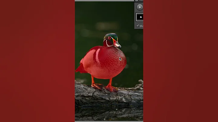 Quick Tip: Lightroom Classic Mask with AI Intersect