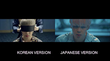 Download Bts Blood Sweat And Tears Japnesse Mp4 Mp3