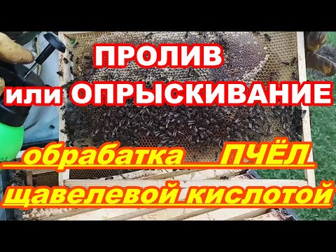 Обработка ПЧЕЛ Щавелевой