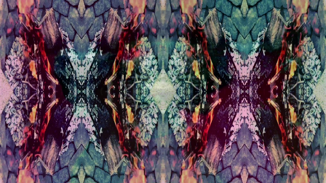 Flux Capacitor - Evolutionary