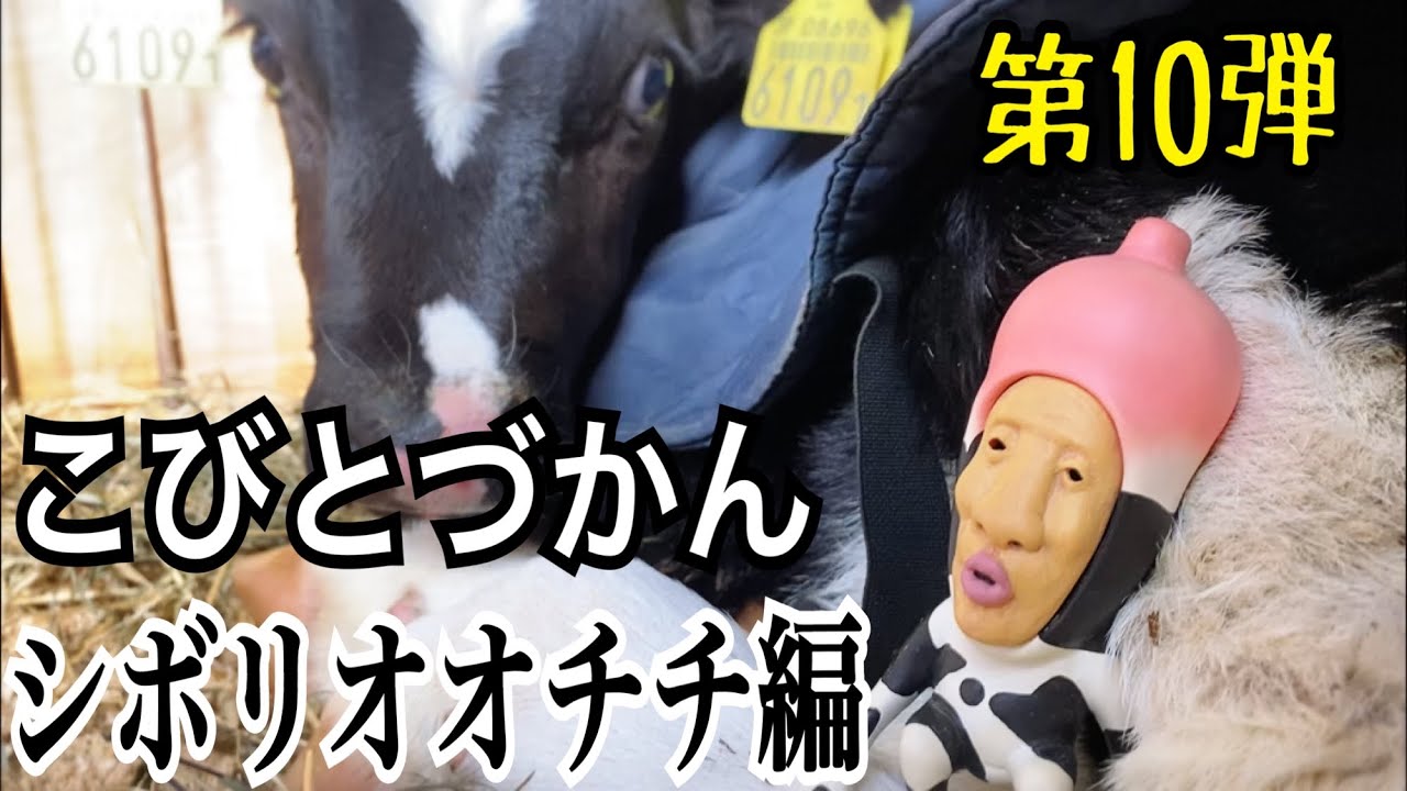 こびとづかん シボリオオチチ見つけるまで帰れま10 Youtube