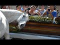 This horse came to his owner’s funeral to say goodbye… It's incredible!