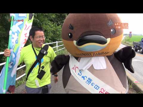 【BBC放送作品】13/7/24放送・知ったかぶりカイツブリにゅーす