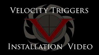 Celebrity Velocity AR-15 Trigger Install Video Net Worth