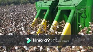 John Deere 9910 Cotton Picker Greece 2019