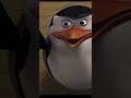 Just a minute straight of the penguins being iconic g #penguinlife #teampenguin #penguinparade