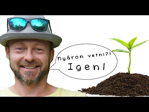 Videó: Nyári Vetés