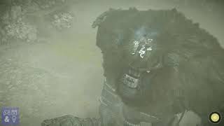 Shadow of the Colossus PS4 first Colossus boss fight PS4 Pro gameplay