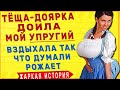 ЖЕНА С СОСЕДОМ - ТЁЩА ЗЯТЬ! Любовные истории из жизни. Интересные истории про тещу. Аудио рассказ