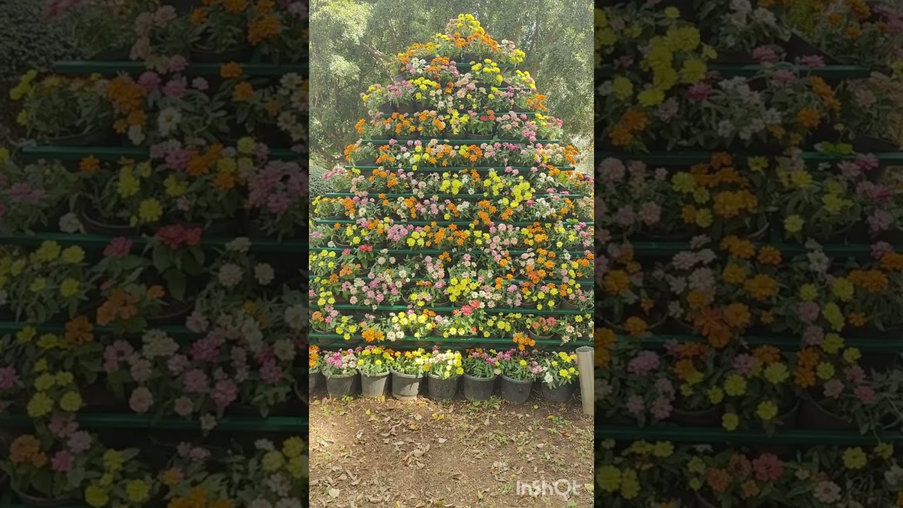 A Perfect Day in Bangalore | One Day Travel Vlog