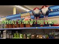 WHATS NEW IN DOLLAR TREES PLUS SECTION / 🥰 #shopping