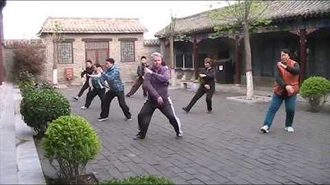 Yang Family 28 Form ~~ Lao Shi Damon Bramich