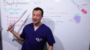 Staphylococcus Part 1 of 5
