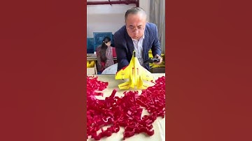 The Best RC Plane Ever For You ✈😍 #shorts #toys #drone#rcplane #f22raptor