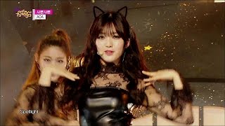 【TVPP】AOA - Like A Cat, 에이오에이 - 사뿐사뿐 @ Show Music Core Live