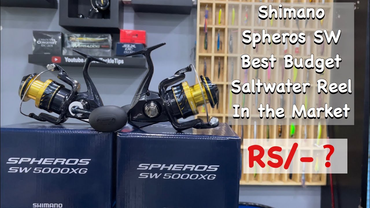 Shimano Spheros SW, Best Budget Saltwater reel available in the market