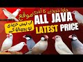 All Java Finch Latest Price Update 2026|Fly Factz#BirdsMarketPakistan #JavafinchPrice#FlyerFactz