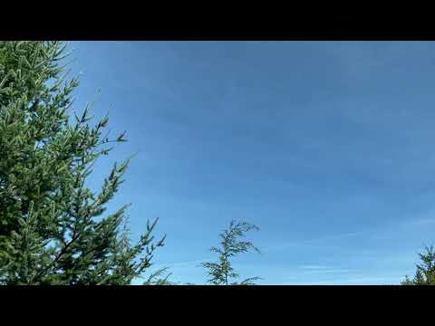 篠笛練習中❣️空を見上げてみて~♪の意味を込めて「上を向いて歩こう」Shinobue Practice w/ Sukiyaki