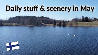 May Stories from the Nordic Countryside | Forest Walk & Talk