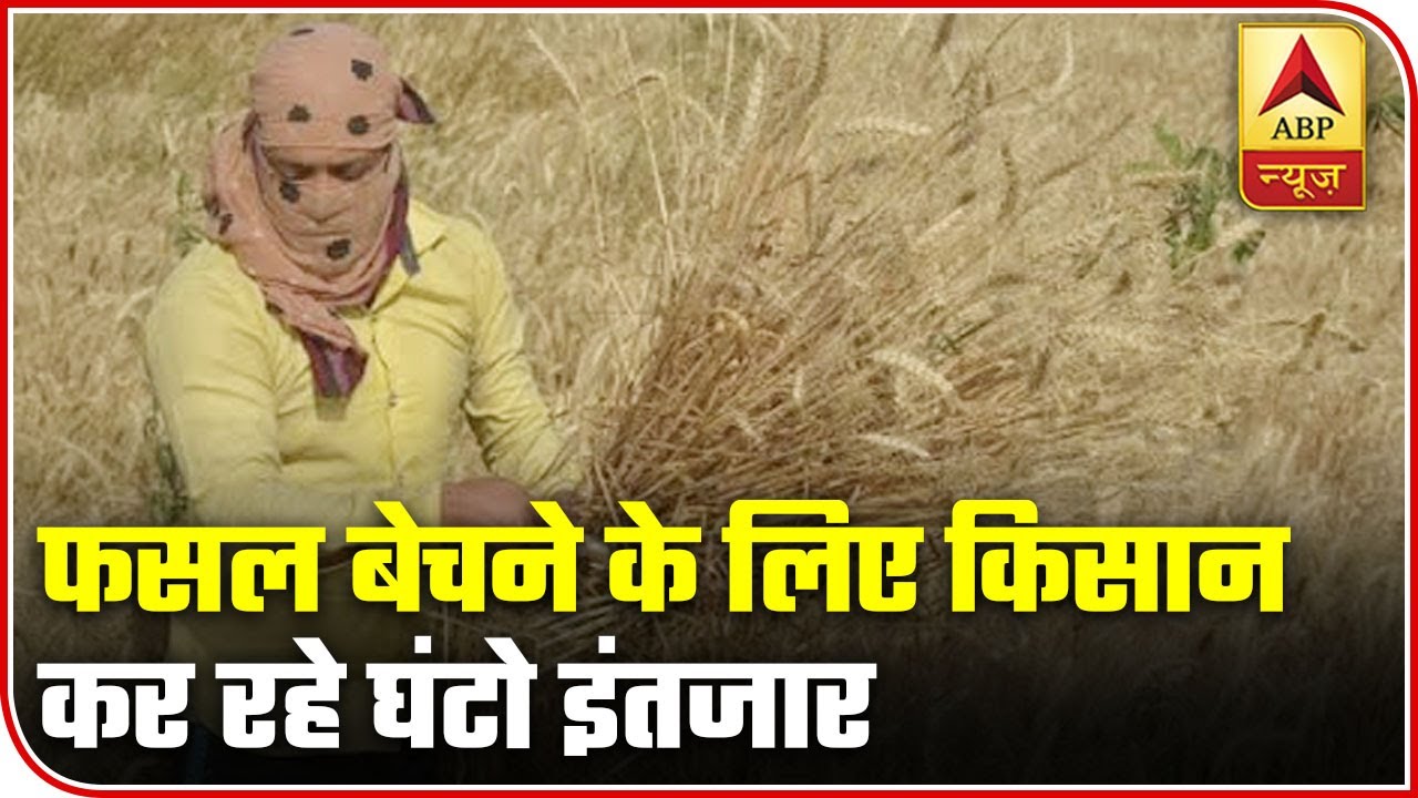 MP: Farmers Wait For Hours To Sell Crops In Shivpuri | ABP News