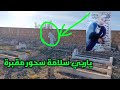 ياربي سلامة لقينا سحور في المقبرة فيديو حصري بارطاجي توصل مولاتها  ⚠️