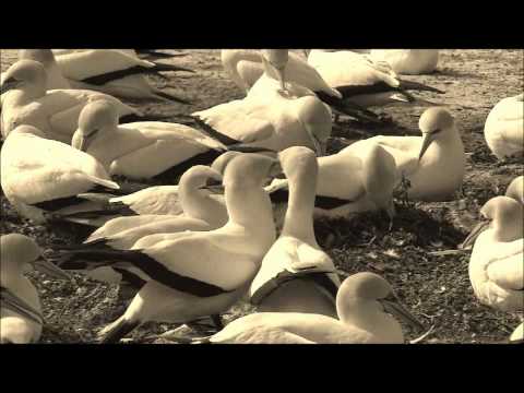 Natuur in 3d